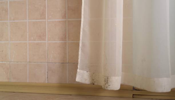Best Commercial Mold Inspection  in Valley Falls, SC