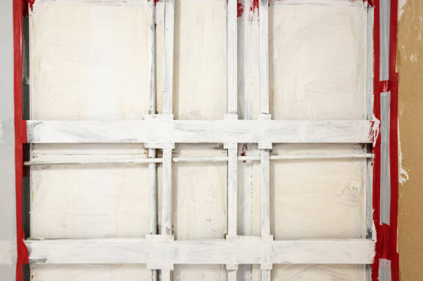 Valley Falls, SC Mold Removal Company