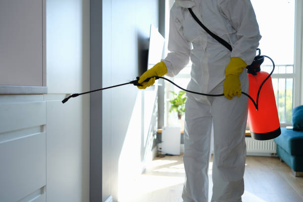 Best Mold Odor Removal Services  in Valley Falls, SC
