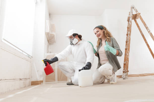 Best Black Mold Removal  in Valley Falls, SC