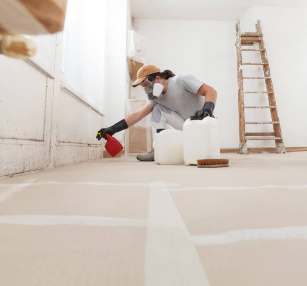 Best Indoor Air Quality Assessment  in Valley Falls, SC